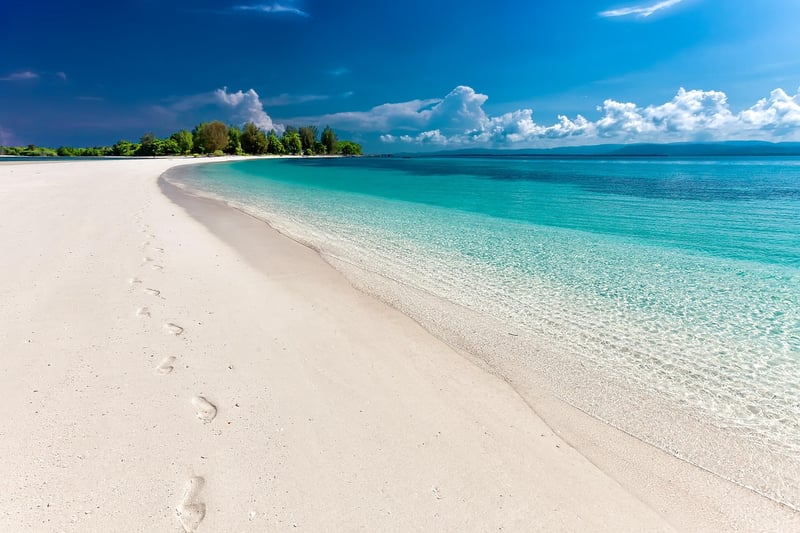 Tropical